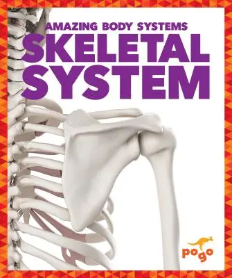 Système squelettique - Skeletal System