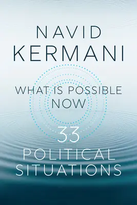 Ce qui est possible maintenant : 33 situations politiques - What Is Possible Now: 33 Political Situations