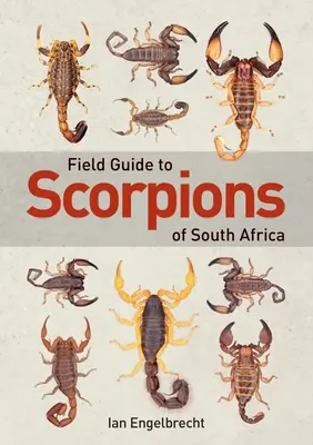 Guide de terrain des scorpions d'Afrique du Sud - Field Guide to Scorpions of South Africa