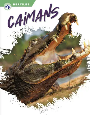 Caïmans - Caimans