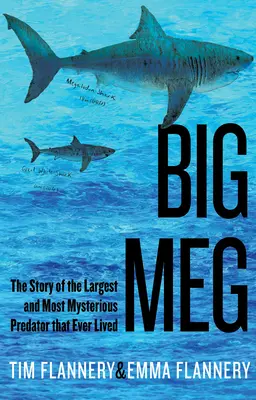 Big Meg : L'histoire du prédateur le plus grand et le plus mystérieux qui ait jamais vécu - Big Meg: The Story of the Largest and Most Mysterious Predator That Ever Lived