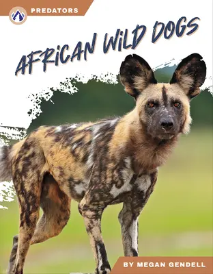 Chiens sauvages d'Afrique - African Wild Dogs