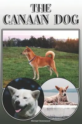 Le chien de Canaan : Un guide complet pour les propriétaires : L'achat, la possession, la santé, le toilettage, le dressage, l'obéissance, la compréhension et l'éducation. - The Canaan Dog: A Complete and Comprehensive Owners Guide To: Buying, Owning, Health, Grooming, Training, Obedience, Understanding and