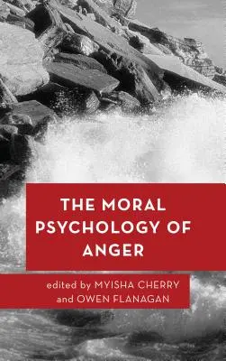La psychologie morale de la colère - The Moral Psychology of Anger