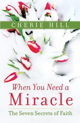 Quand vous avez besoin d'un miracle : les sept secrets de la foi - When You Need a Miracle: The Seven Secrets of Faith