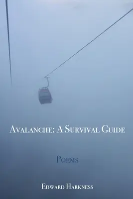 Avalanche : Un guide de survie - Avalanche: A Survival Guide