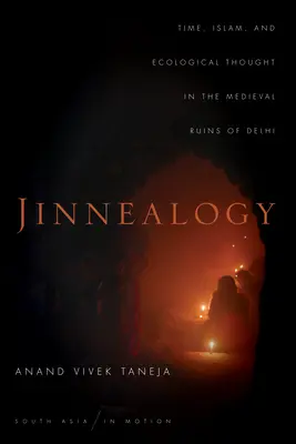 Jinnéalogie : Le temps, l'islam et la pensée écologique dans les ruines médiévales de Delhi - Jinnealogy: Time, Islam, and Ecological Thought in the Medieval Ruins of Delhi
