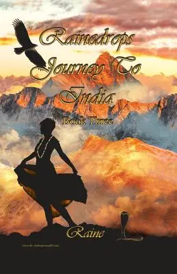 Le voyage des gouttes de pluie en Inde : Livre trois - Rainedrops Journey To India: Book Three