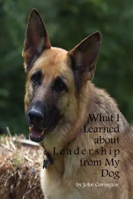 Ce que mon chien m'a appris sur le leadership - What I Learned About Leadership From My Dog