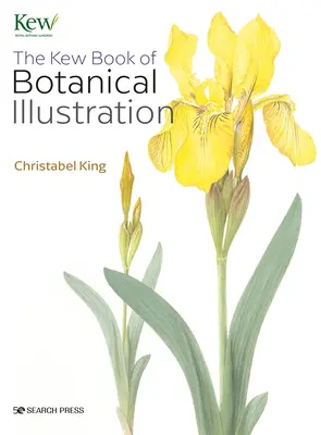 Kew Book of Botanical Illustration (en anglais) - Kew Book of Botanical Illustration
