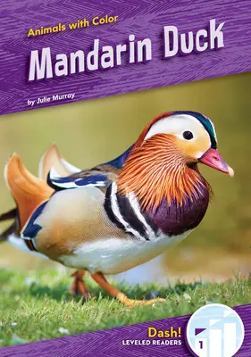 Canard mandarin - Mandarin Duck