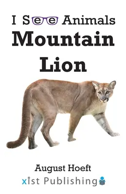 Lion de montagne - Mountain Lion