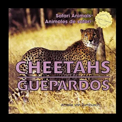 Guépards - Cheetahs/Guepardos