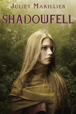 Le Puits d'ombre - Shadowfell