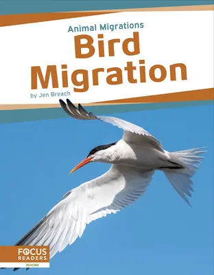 Migration des oiseaux - Bird Migration