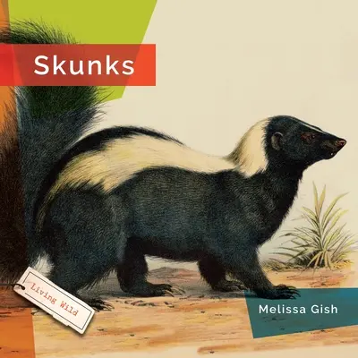 Moufettes - Skunks