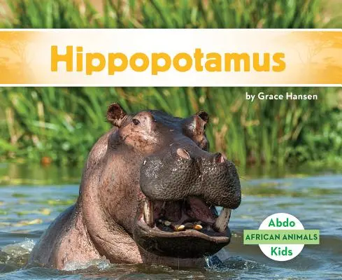Hippopotame - Hippopotamus