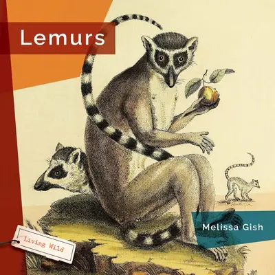 Lémuriens - Lemurs