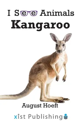 Kangourou - Kangaroo