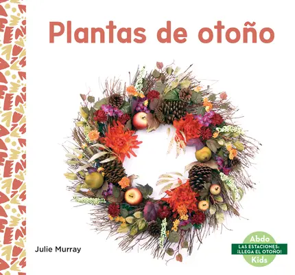 Plantes d'Otoo - Plantas de Otoo