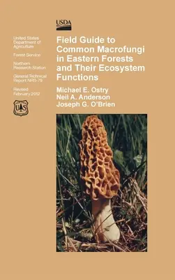 Guide de terrain des macrochampignons communs des forêts de l'Est et de leur fonction dans l'écosystème - Field Guide to Common Macrofungi in Eastern Forests and Their Ecosystem Function