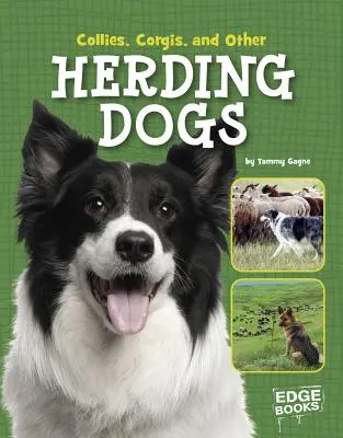 Les Collies, Corgies et autres chiens de berger - Collies, Corgies, and Other Herding Dogs