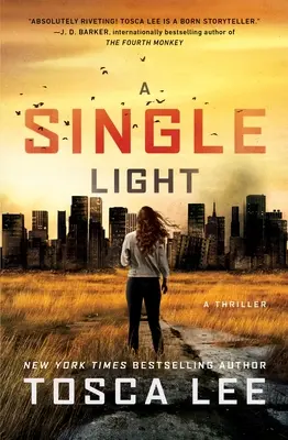 Une seule lumière : Un thriller - A Single Light: A Thriller