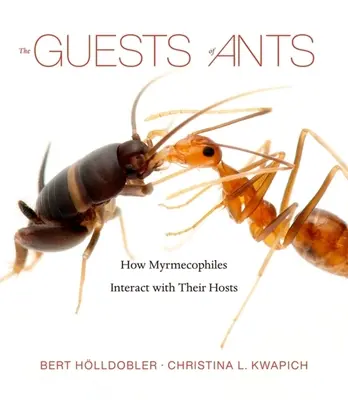 Les invités des fourmis : Comment les myrmécophiles interagissent avec leurs hôtes - The Guests of Ants: How Myrmecophiles Interact with Their Hosts