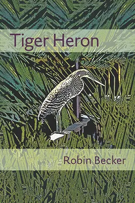 Le héron tigré - Tiger Heron