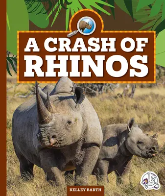 Un écrasement de rhinocéros - A Crash of Rhinos