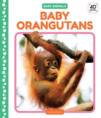 Bébés orangs-outans - Baby Orangutans