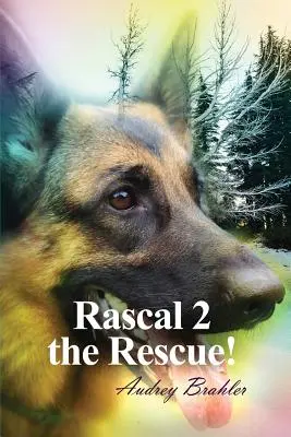Rascal 2 à la rescousse ! - Rascal 2 the Rescue!