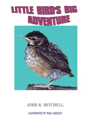 La grande aventure du petit oiseau - Little Bird's Big Adventure