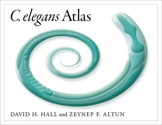 C. Atlas Elegans - C. Elegans Atlas