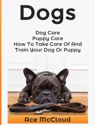 Chiens : Soins aux chiens : Le mal de dos : Le mal de dos : Le mal de dos : Le mal de dos : Le mal de dos : Le mal de dos : Le mal de dos : Le mal de dos : Le mal de dos - Dogs: Dog Care: Puppy Care: How To Take Care Of And Train Your Dog Or Puppy