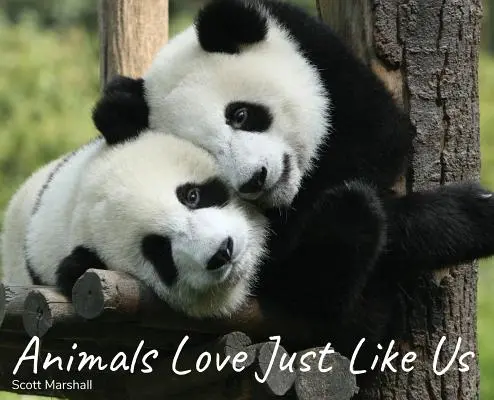 Les animaux aiment comme nous - Animals Love Just Like Us