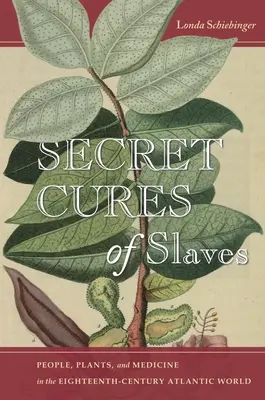 Les remèdes secrets des esclaves : Peuples, plantes et médecine dans le monde atlantique du XVIIIe siècle - Secret Cures of Slaves: People, Plants, and Medicine in the Eighteenth-Century Atlantic World