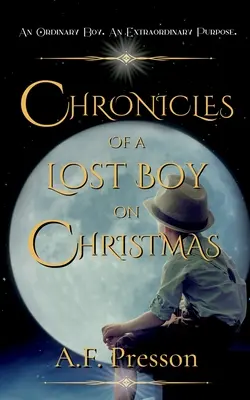 Chroniques d'un garçon perdu à Noël - Chronicles of a Lost Boy on Christmas