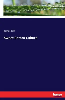 Culture de la patate douce - Sweet Potato Culture