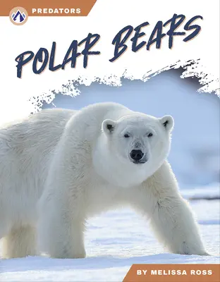 Ours polaire - Polar Bears