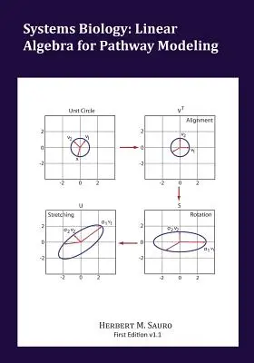 Biologie des systèmes : L'algèbre linéaire pour la modélisation des voies de communication - Systems Biology: Linear Algebra for Pathway Modeling