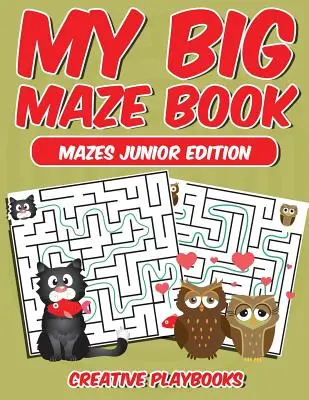 Mon grand livre de labyrinthes Édition Junior - My Big Maze Book Mazes Junior Edition