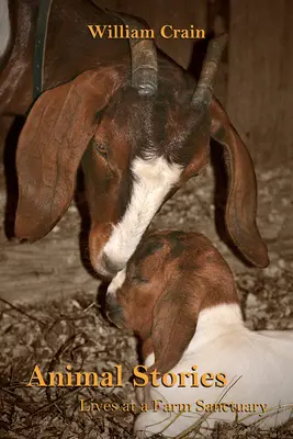 Histoires d'animaux : La vie dans une ferme sanctuaire - Animal Stories: Lives at a Farm Sanctuary