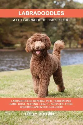 Labradoodles : Informations générales sur les labradoodles, achat, soins, coûts, entretien, santé, fournitures, nourriture, élevage et plus encore ! Un animal de compagnie - Labradoodles: Labradoodles General Info, Purchasing, Care, Cost, Keeping, Health, Supplies, Food, Breeding and More Included! A Pet