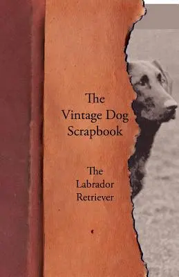 Livre d'images sur les chiens - Le Labrador Retriever - The Vintage Dog Scrapbook - The Labrador Retriever