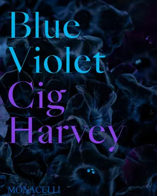 Violet bleu - Blue Violet