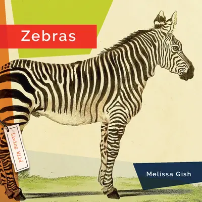 Zèbres - Zebras