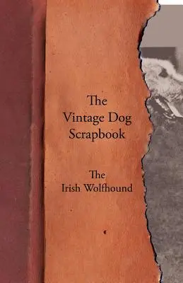 Livre d'images du chien - L'Irish Wolfhound - The Vintage Dog Scrapbook - The Irish Wolfhound