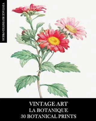Art Vintage : La Botanique : 30 tirages botaniques pour l'encadrement, le collage, le découpage et les journaux de bric-à-brac - Vintage Art: La Botanique: 30 Botanical Prints for Framing, Collage, Decoupage and Junk Journals