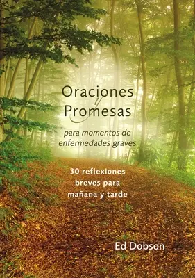 Oraciones y promesas Softcover Prayers and Promises When Facing a Life-Threatening Illness (Prières et promesses face à une maladie mortelle) - Oraciones y promesas Softcover Prayers and Promises When Facing a Life-Threatening Illness